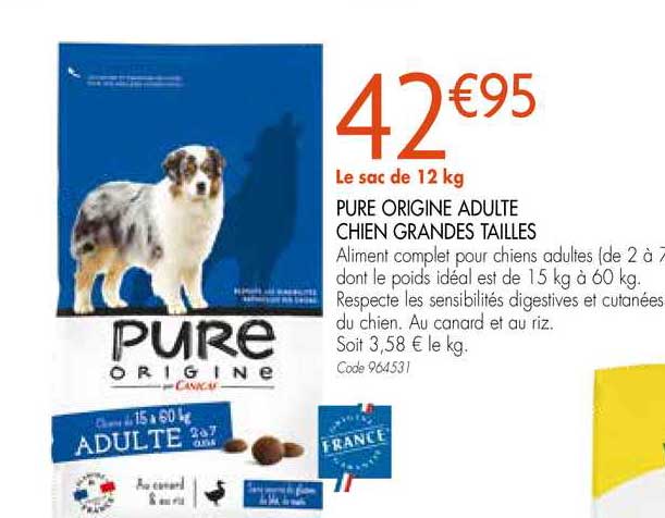 pure origine adulte chien grandes tailles