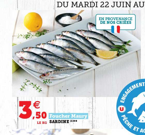 Sardine Foucher Maury