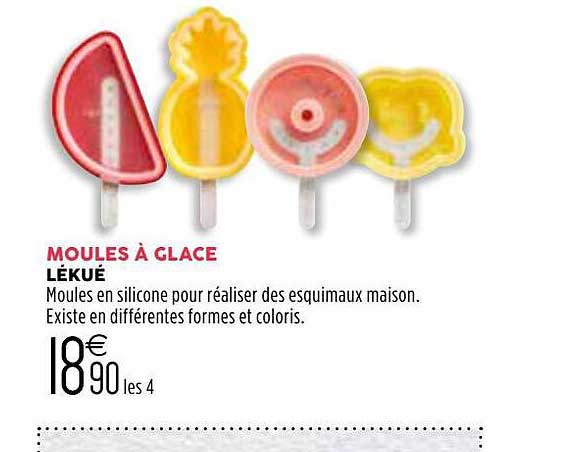 Moules à Glace Lékué