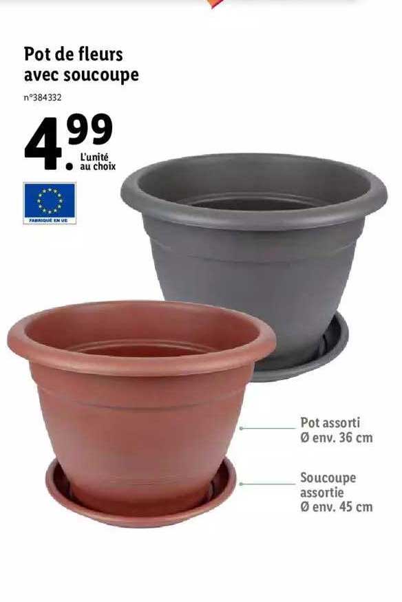 pot de fleurs avec soucoupe