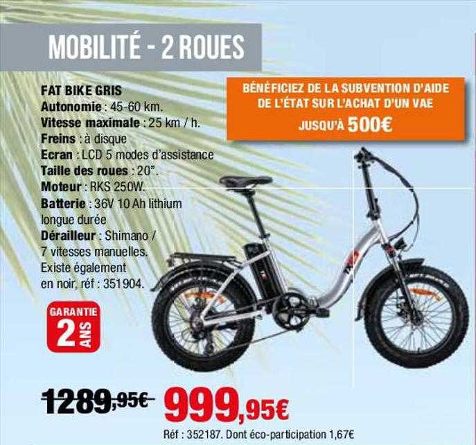 fat bike gris