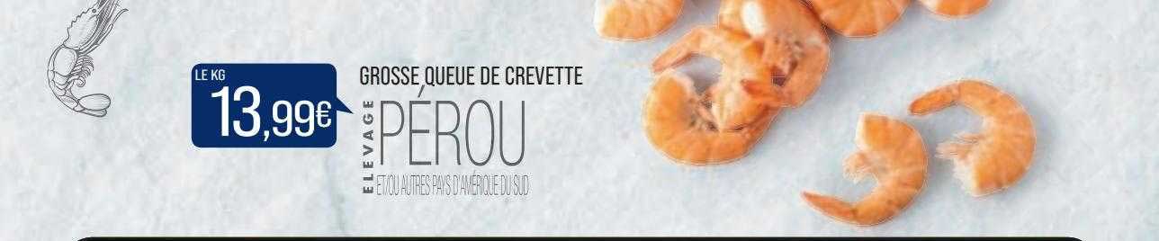 grosse queue de crevette