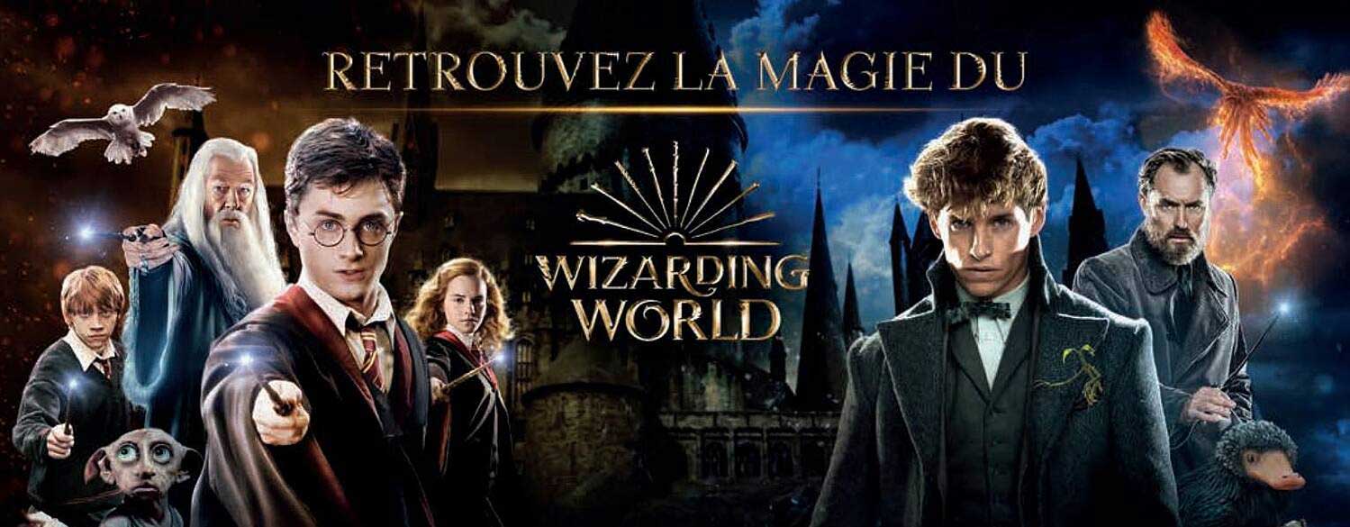 la magie du wizarding world