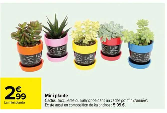 mini plante
