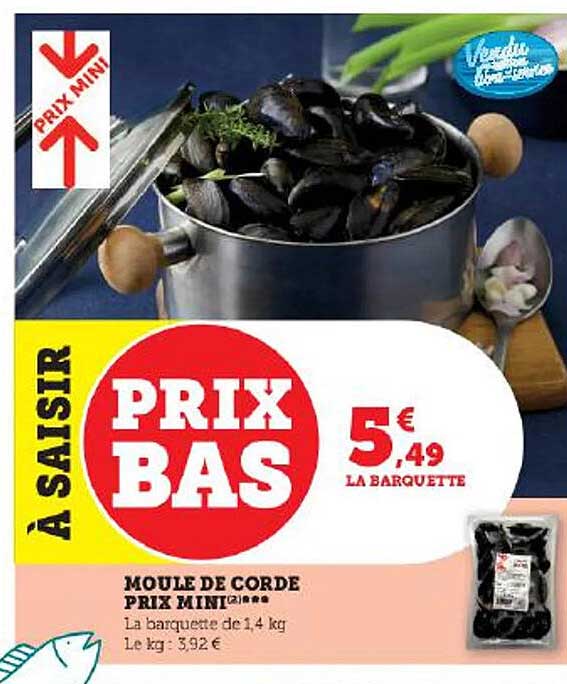 moule de corde prix mini