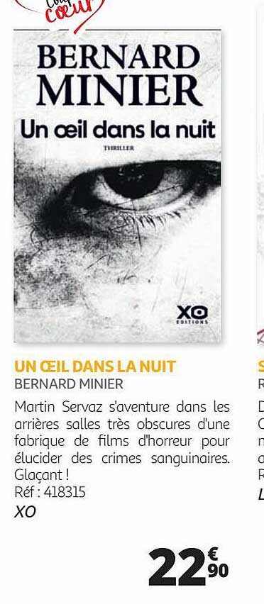 un œil dans la nuit - bernard minier