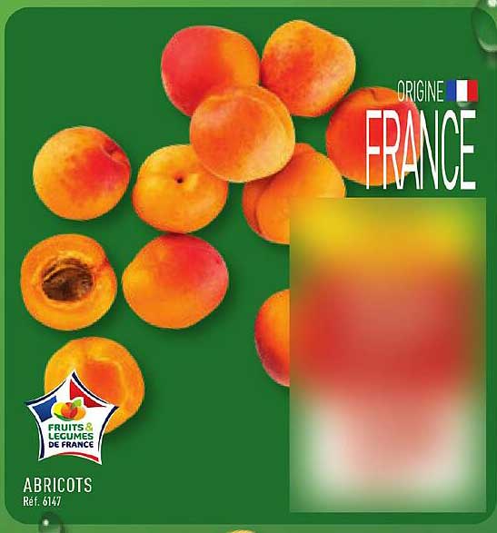ABRICOTS