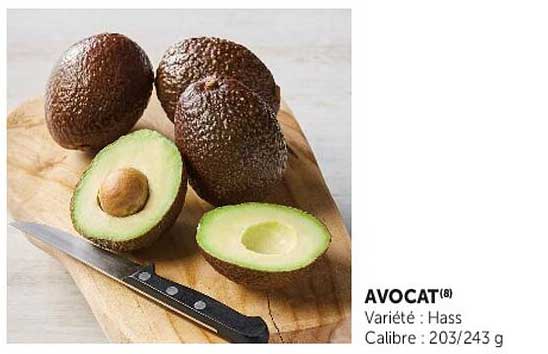 AVOCAT