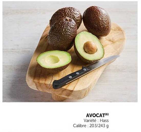 AVOCAT
