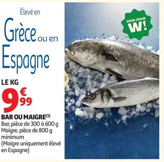 Bar ou Maigre