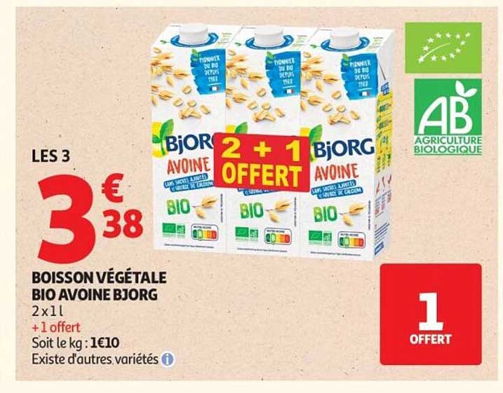 Bjorg Avoine