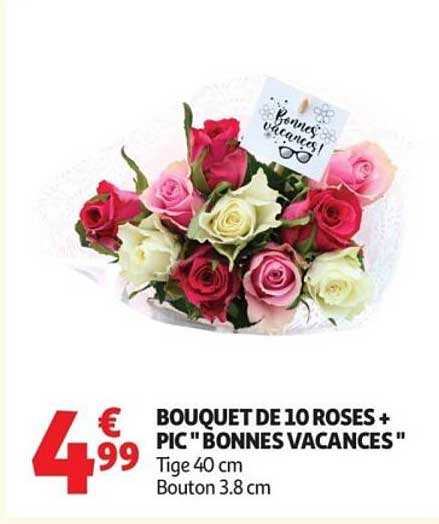 BOUQUET DE 10 ROSES + PIC "BONNES VACANCES