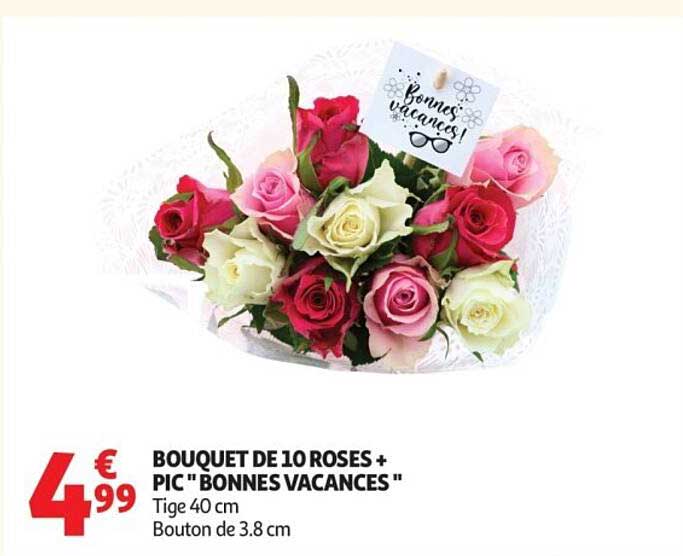 BOUQUET DE 10 ROSES + PIC "BONNES VACANCES