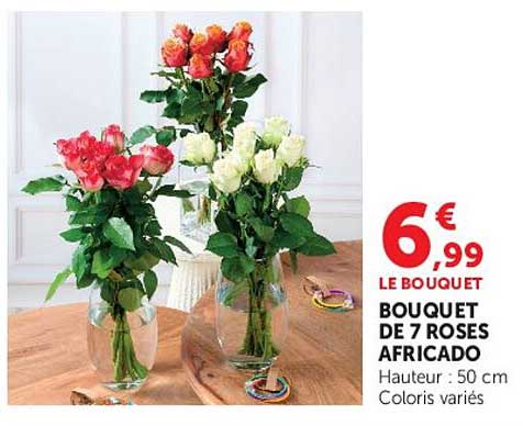BOUQUET DE 7 ROSES AFRICADO