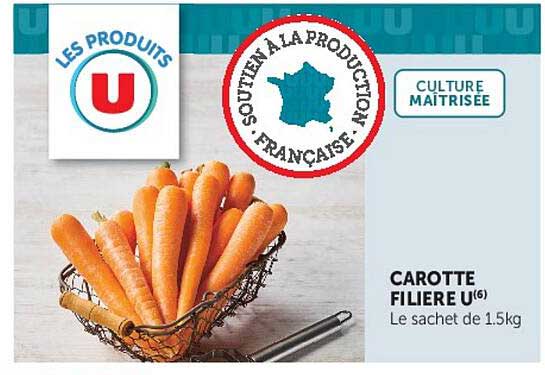 CAROTTE FILIERE U