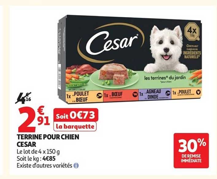Cesar Terrine pour chien