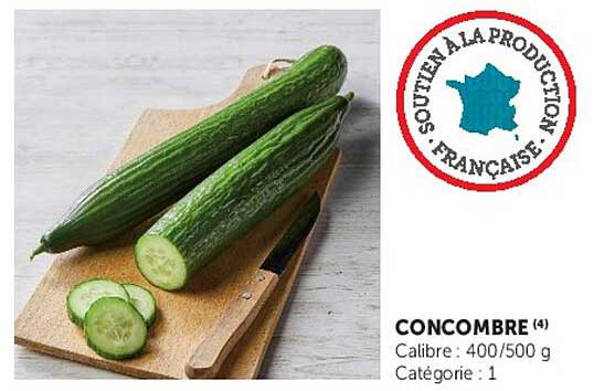 CONCOMBRE