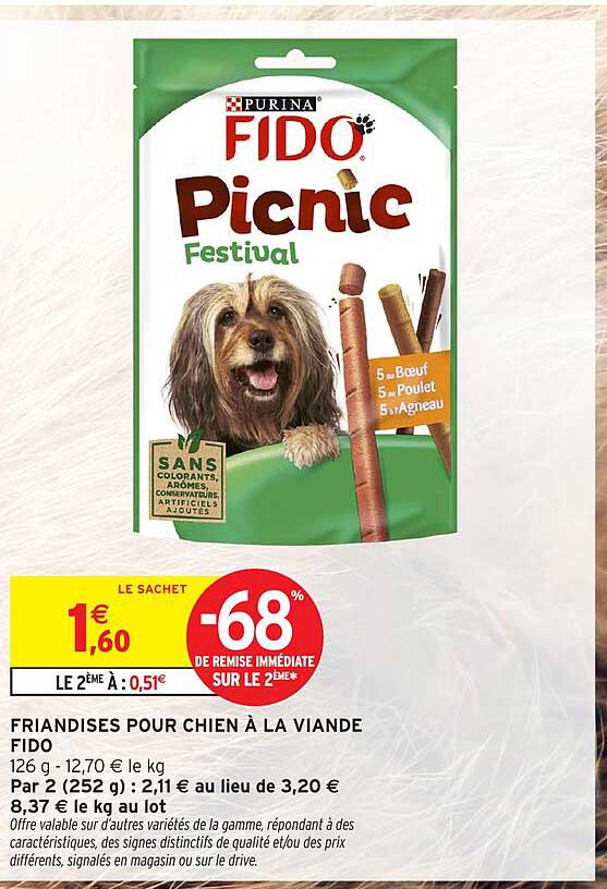 FIDO Picnic Festival