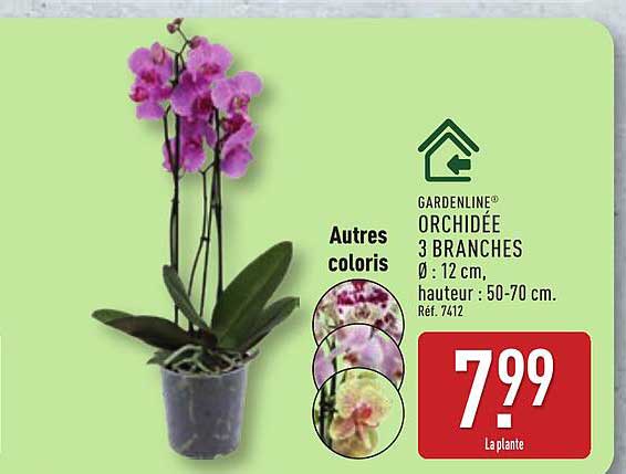 GARDENLINE ORCHIDÉE
