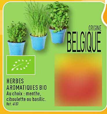 HERBES AROMATIQUES BIO