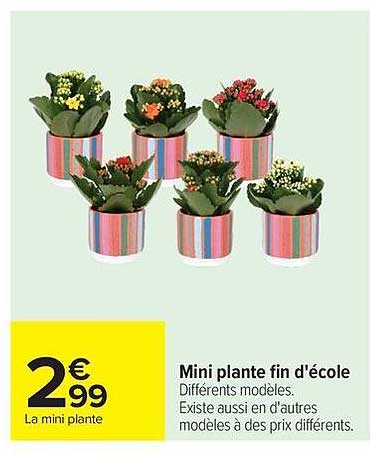 La mini plante