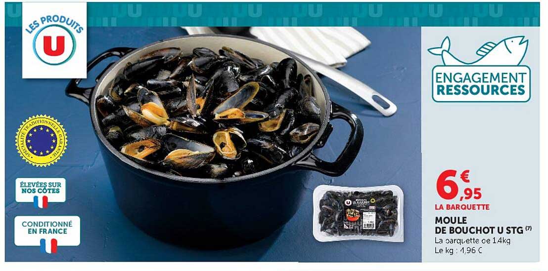 MOULE DE BOUCHOT U STG