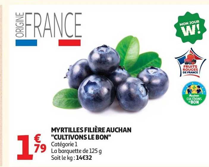 MYRTILLES FILIÈRE AUCHAN
