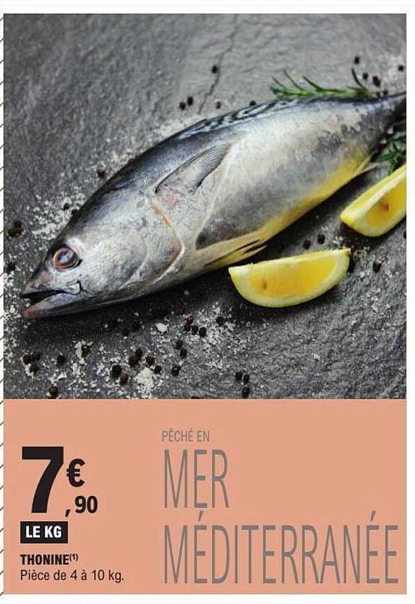 PÊCHÉ EN MER MÉDITERRANÉE