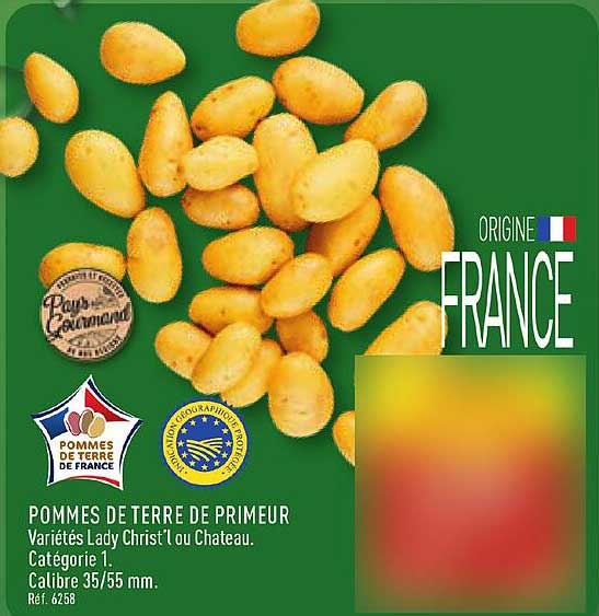 POMMES DE TERRE DE PRIMEUR