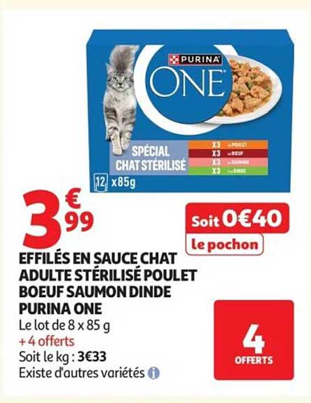 PURINA ONE