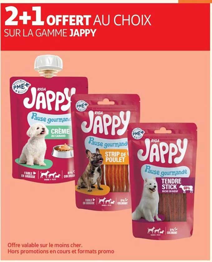 RIGA Jappy monde gourmande