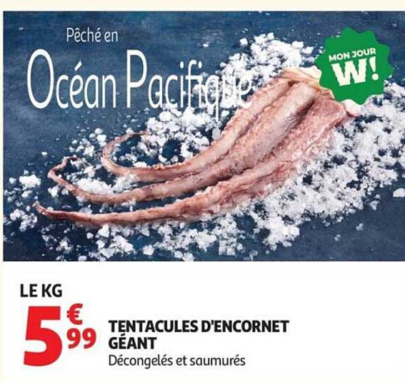 Tentacules d'encornet géant