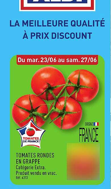 TOMATES RONDES EN GRAPPE