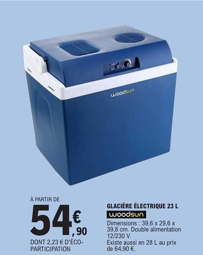 Woodsun Glacière électrique 23 L