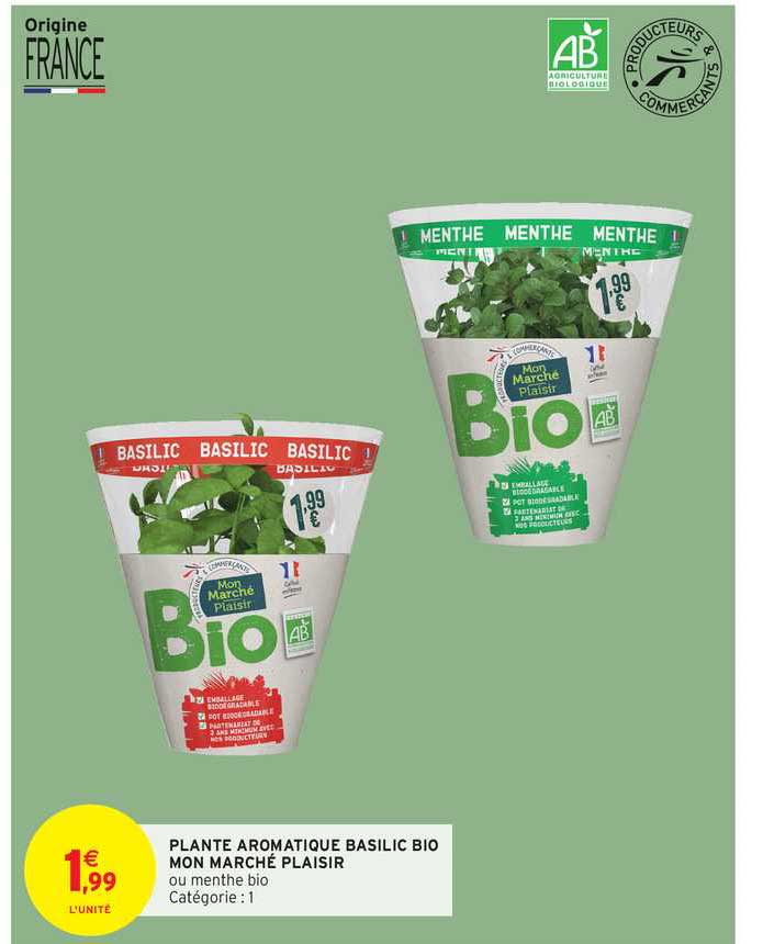 plante aromatique basilic bio mon marché plaisir