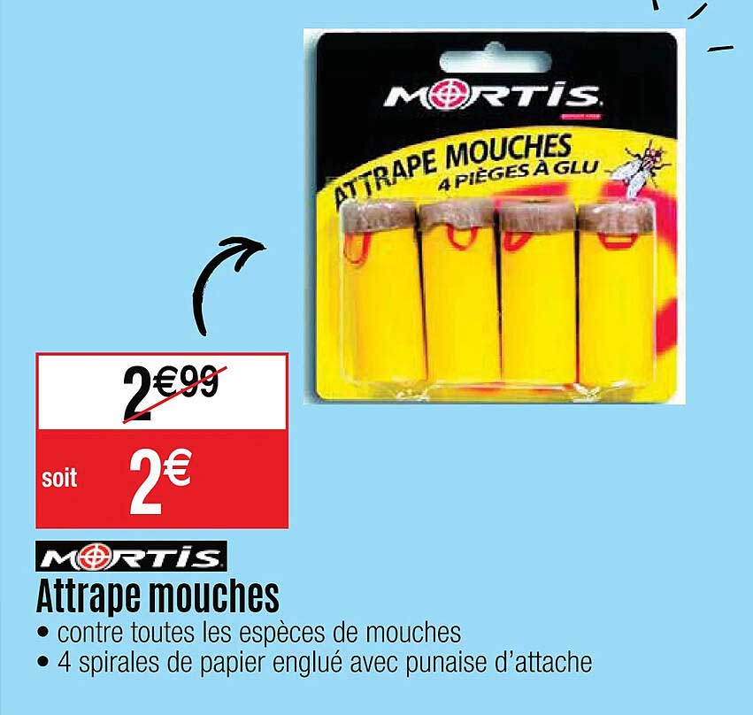 attrape mouches mortis