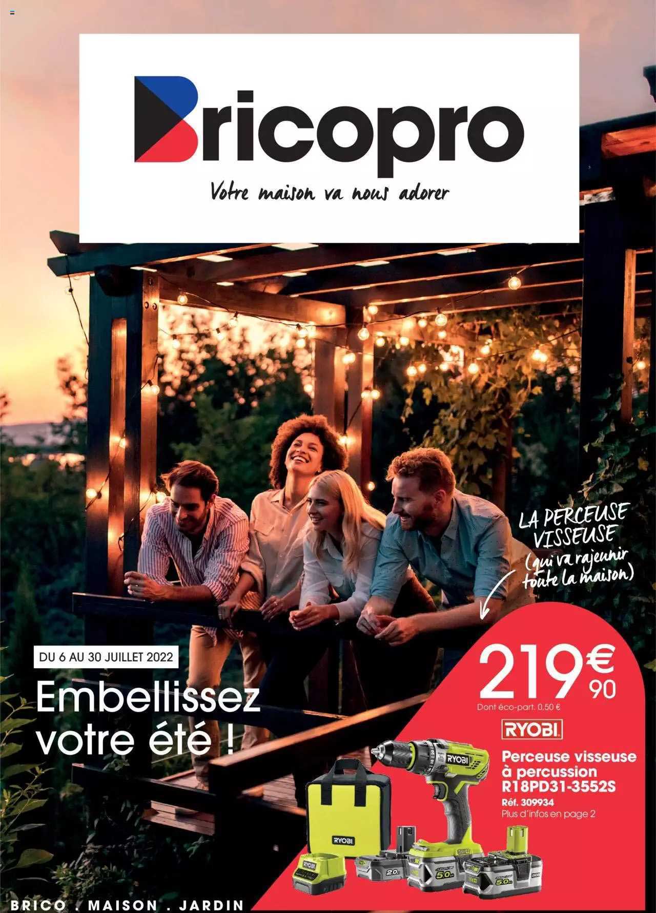 perceuse viseuse à percussion ryoai