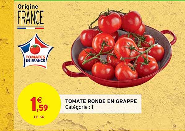 Tomate Ronde En Grappe