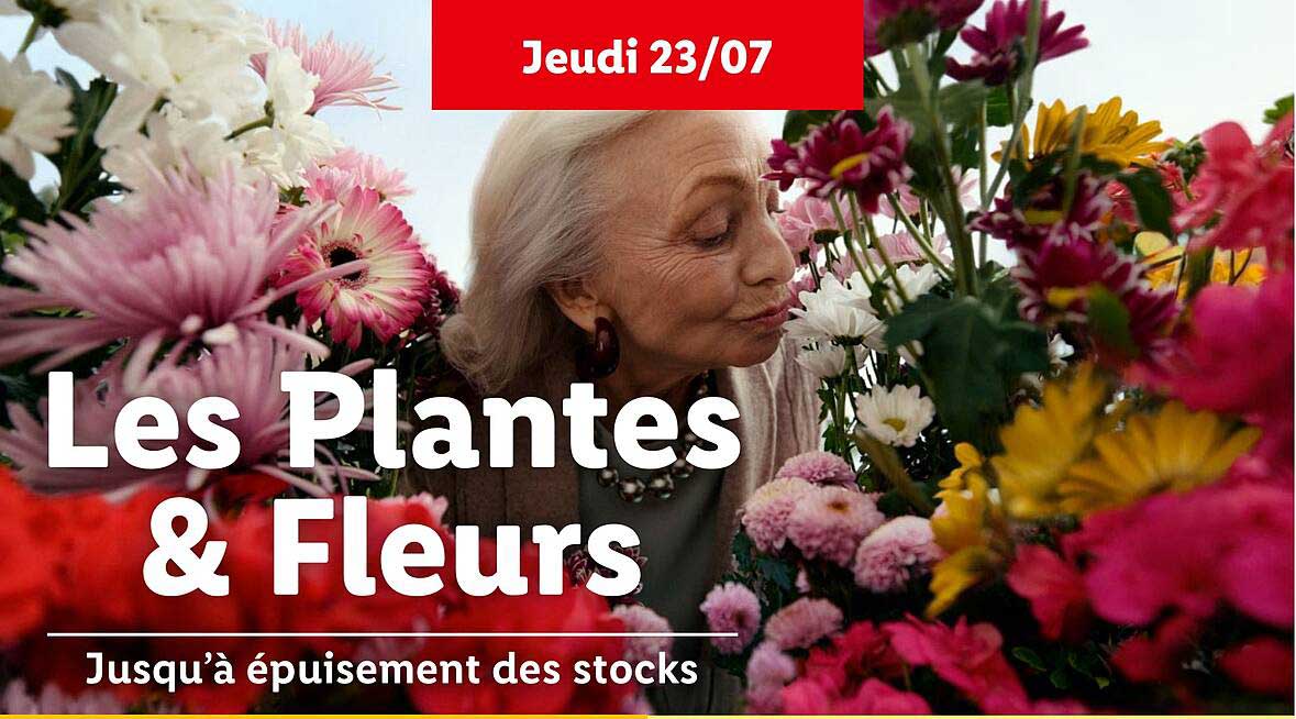 Les Plantes & Fleurs