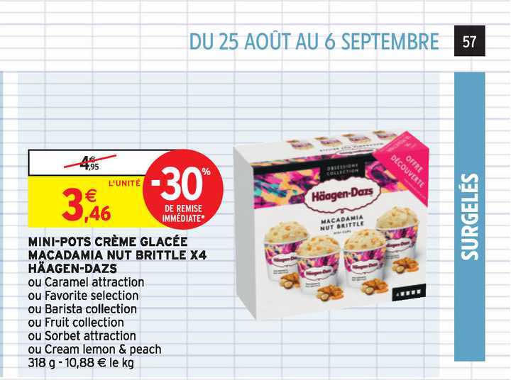 mini pots crème glacée macadamia nut brittle x4 häagen dazs -30% de remise immédiate