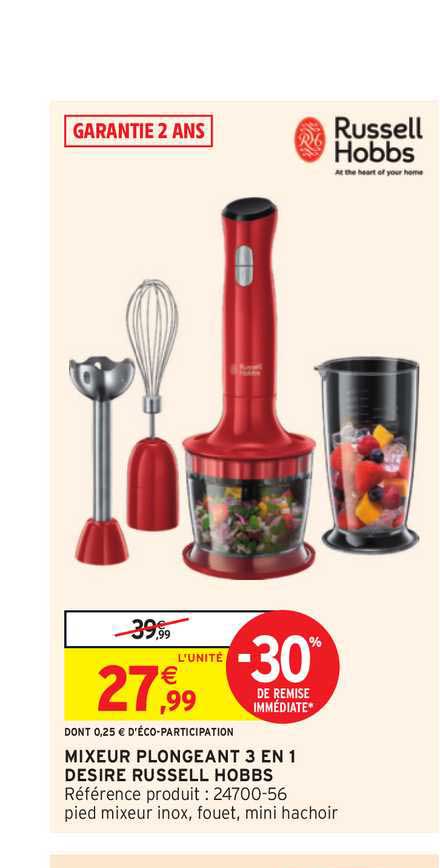 mixeur plongeant 3en1 desire russell hobbs