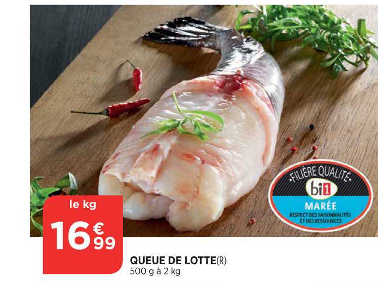 Queue De Lotte Filière Qualité Bi1 Marée