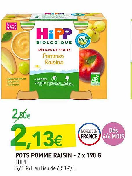 pots pomme raisin hipp