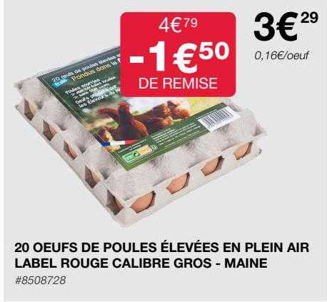 20 œufs de poules élevées en plein air label rouge calibre gros - maines