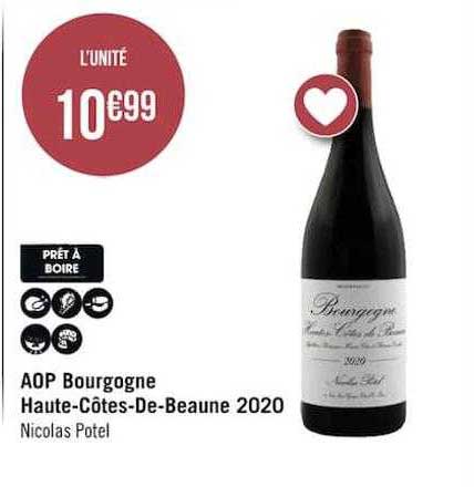 aop bourgogne haute-côtes-de-beaune 2020 nicolas potel