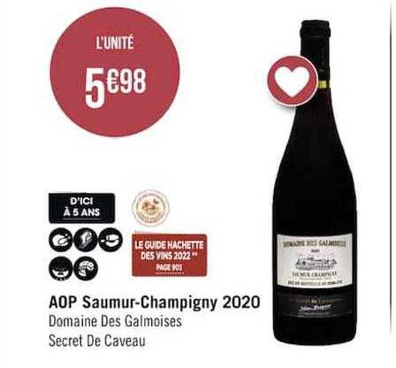 Aop Saumur-champigny 2020 Domaine Des Galmoises Secret De Caveau