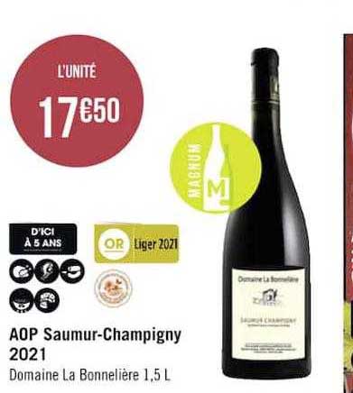 aop saumur-champigny 2021 domaine la bonnelière