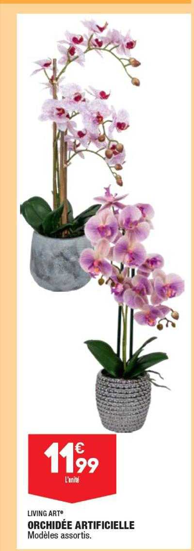 Living Art Orchidée Artificielle