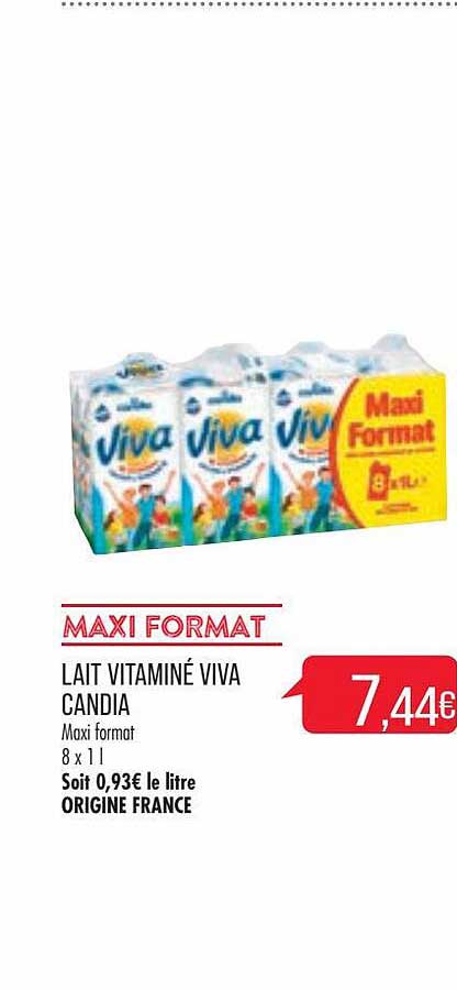 maxi format lait vitaminé viva candia