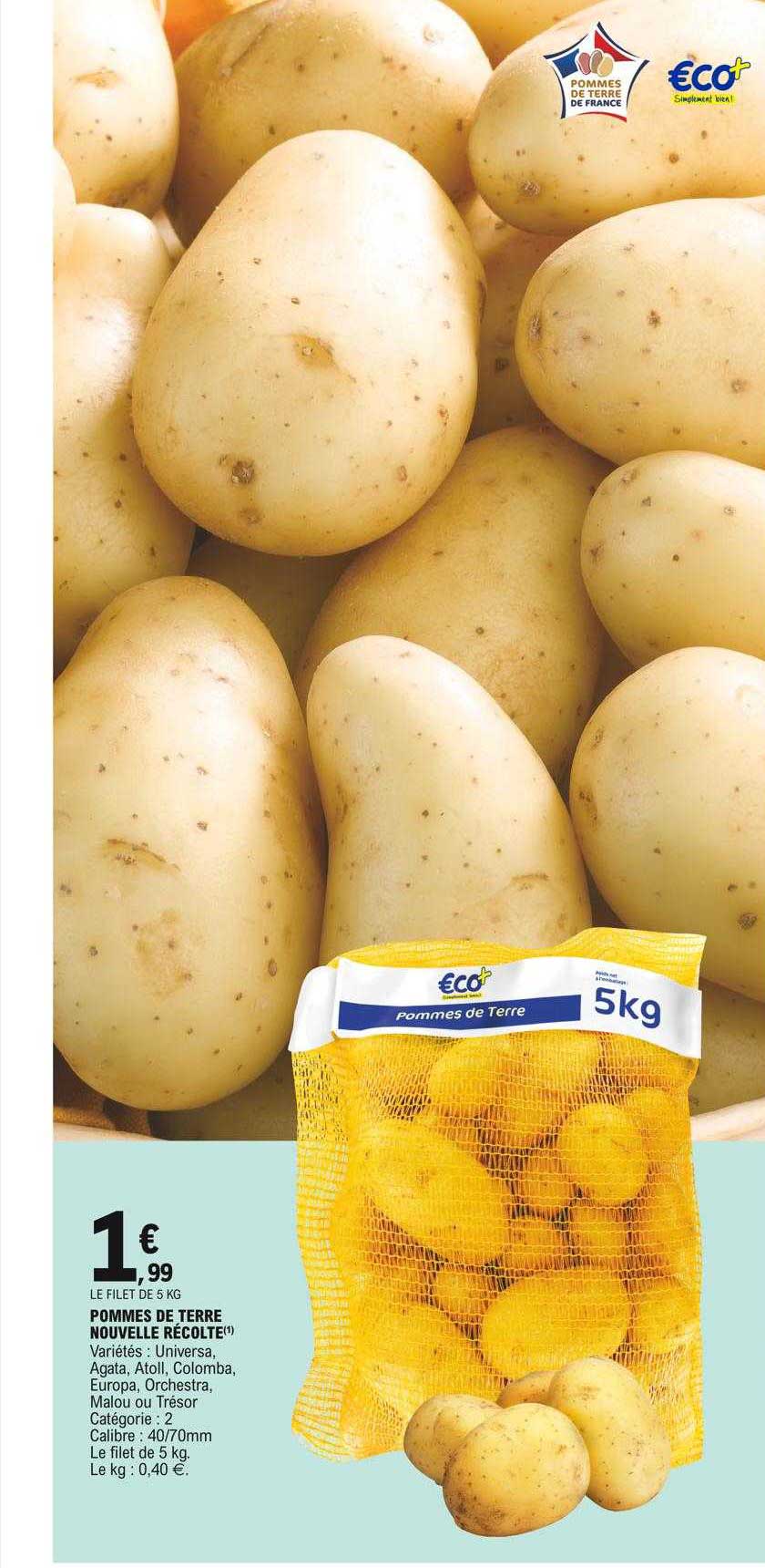 pomme de terre nouvelle récolte